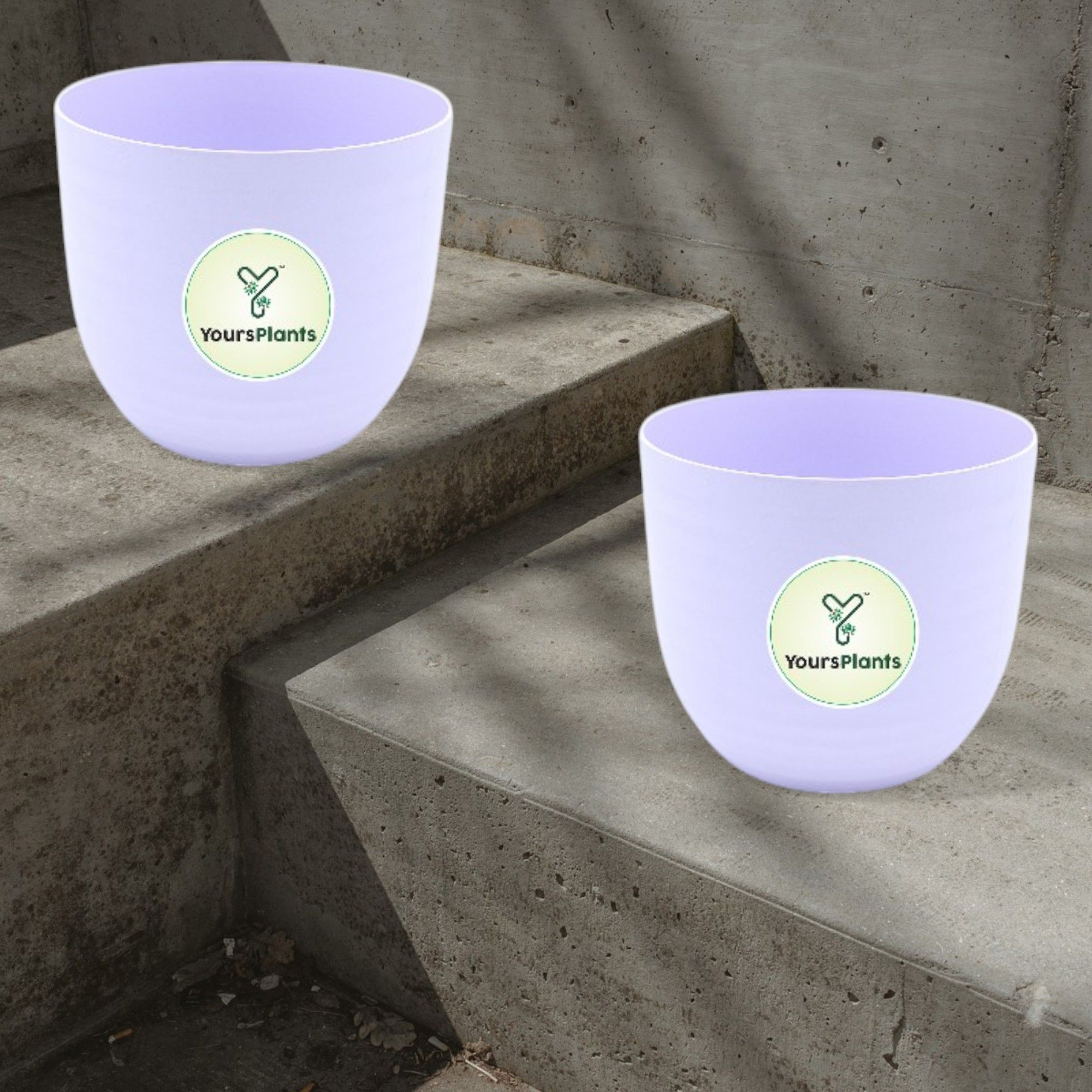 Purple Verona Plants Pot for Home & Office Decor {Pack of 2}_6