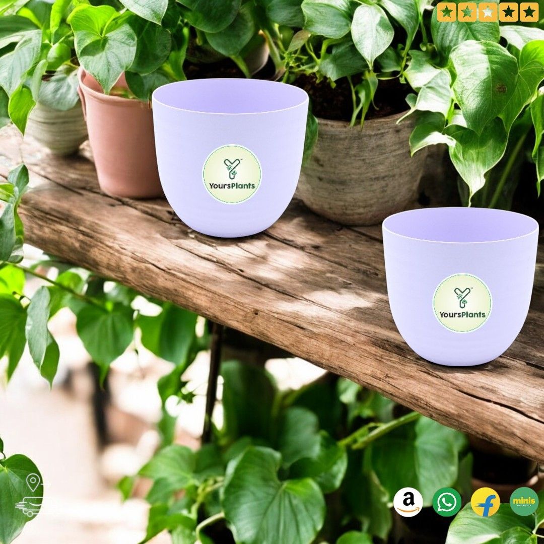 Purple Verona Plants Pot for Home & Office Decor {Pack of 2}_7