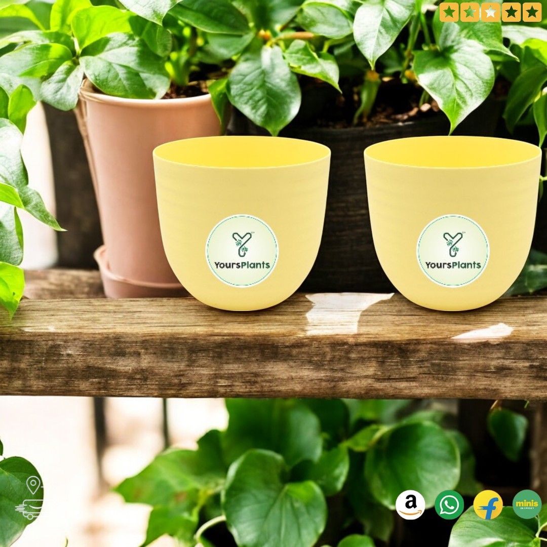 Yellow Verona Plants Pot for Home & Office Decor {Pack of 2}_6