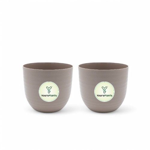 Mocca Verona Plants Pot for Home & Office Decor {Pack of 2}_6