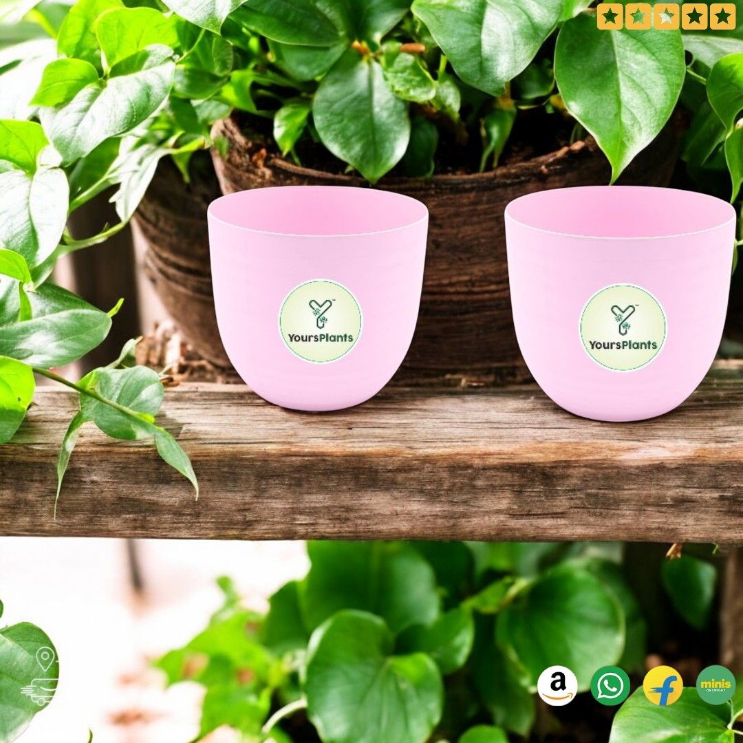 Pink Verona Plants Pot for Home & Office Decor {Pack of 2}_7