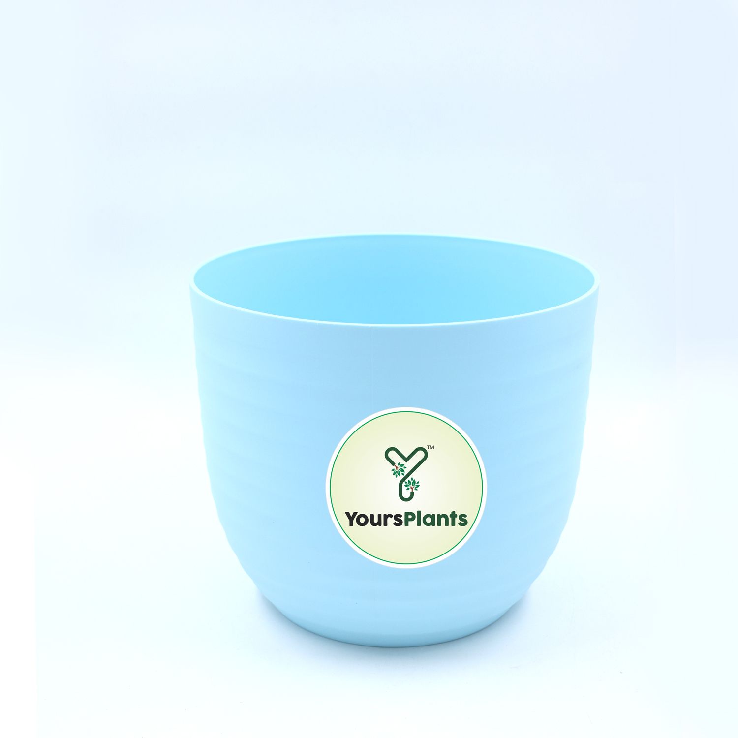 Blue Verona Plants Pot for Home & Office Decor {Pack of 2}_3