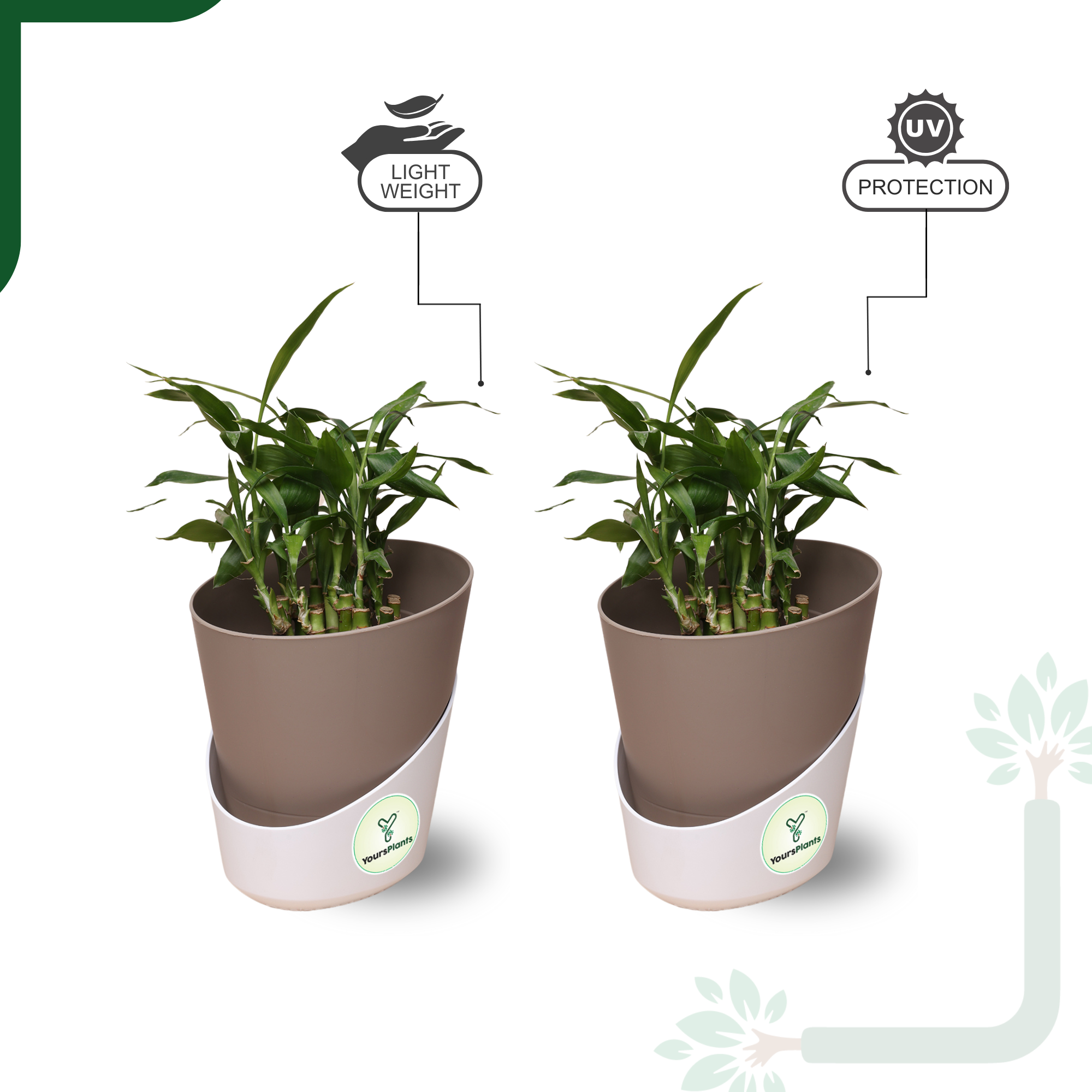 Mocca Atlantis Self Water Pots | Pack of 2 |_2