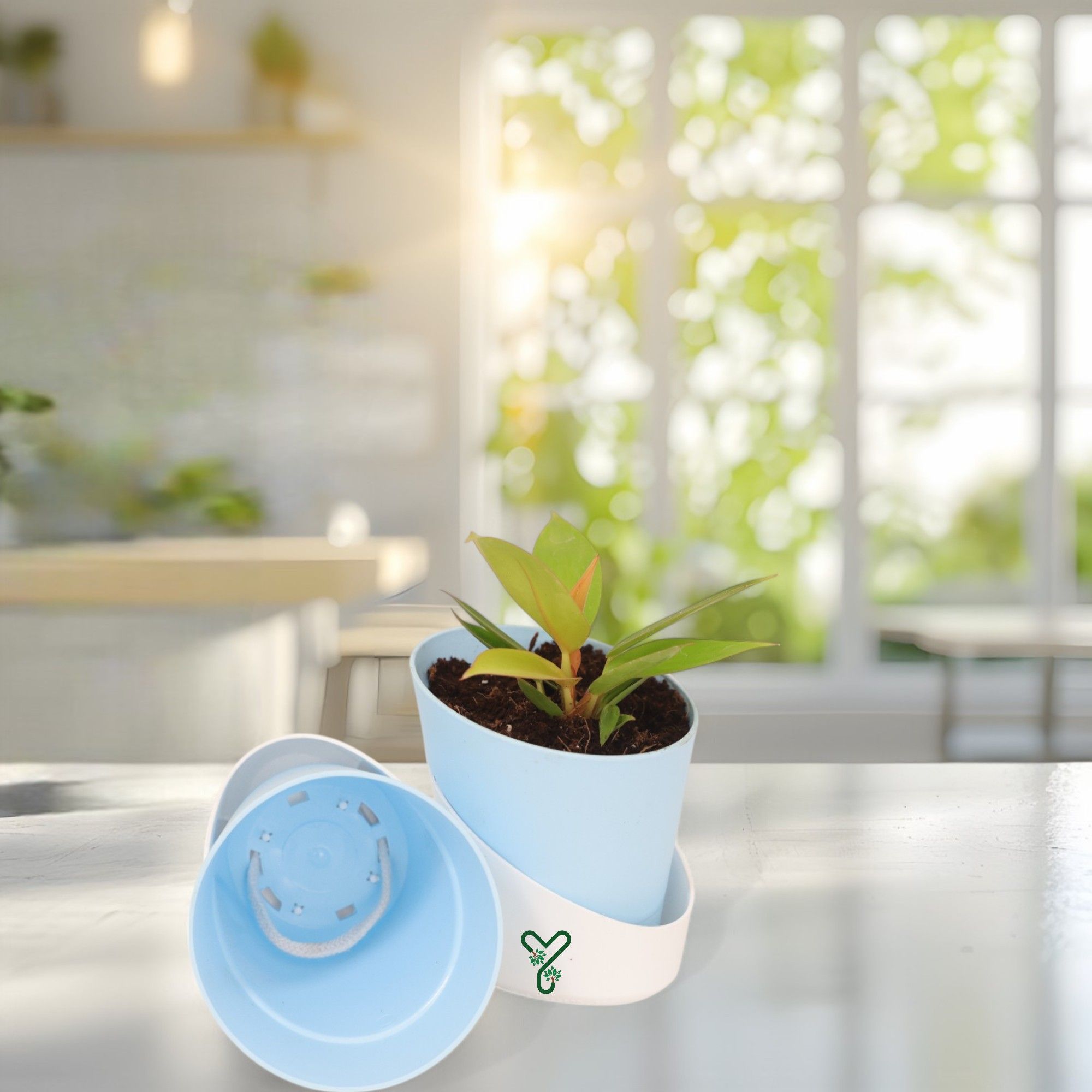 Pastel Blue Atlantis Self Water Pots | Pack of 2_1