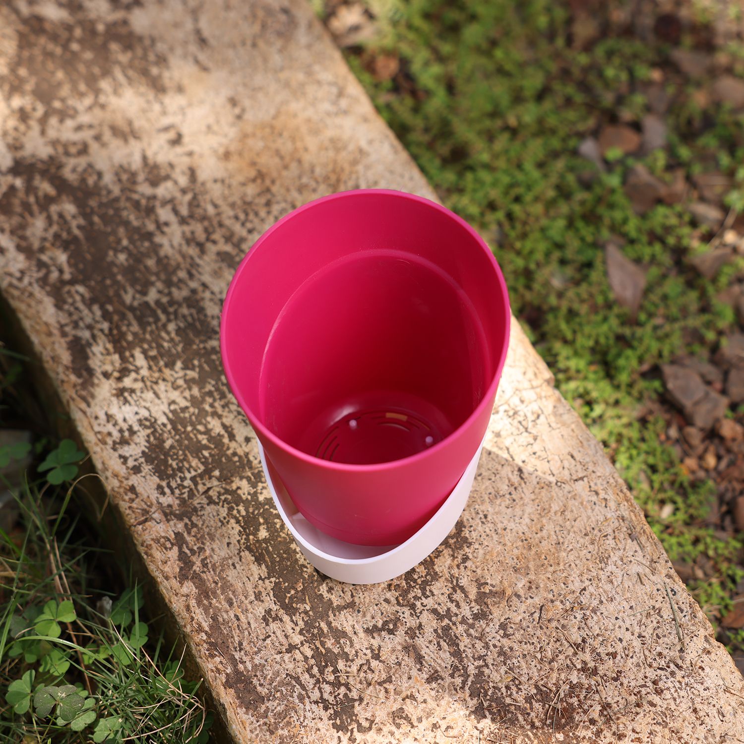 Pink Atlantis Self Water Pots | Pack of 2_1