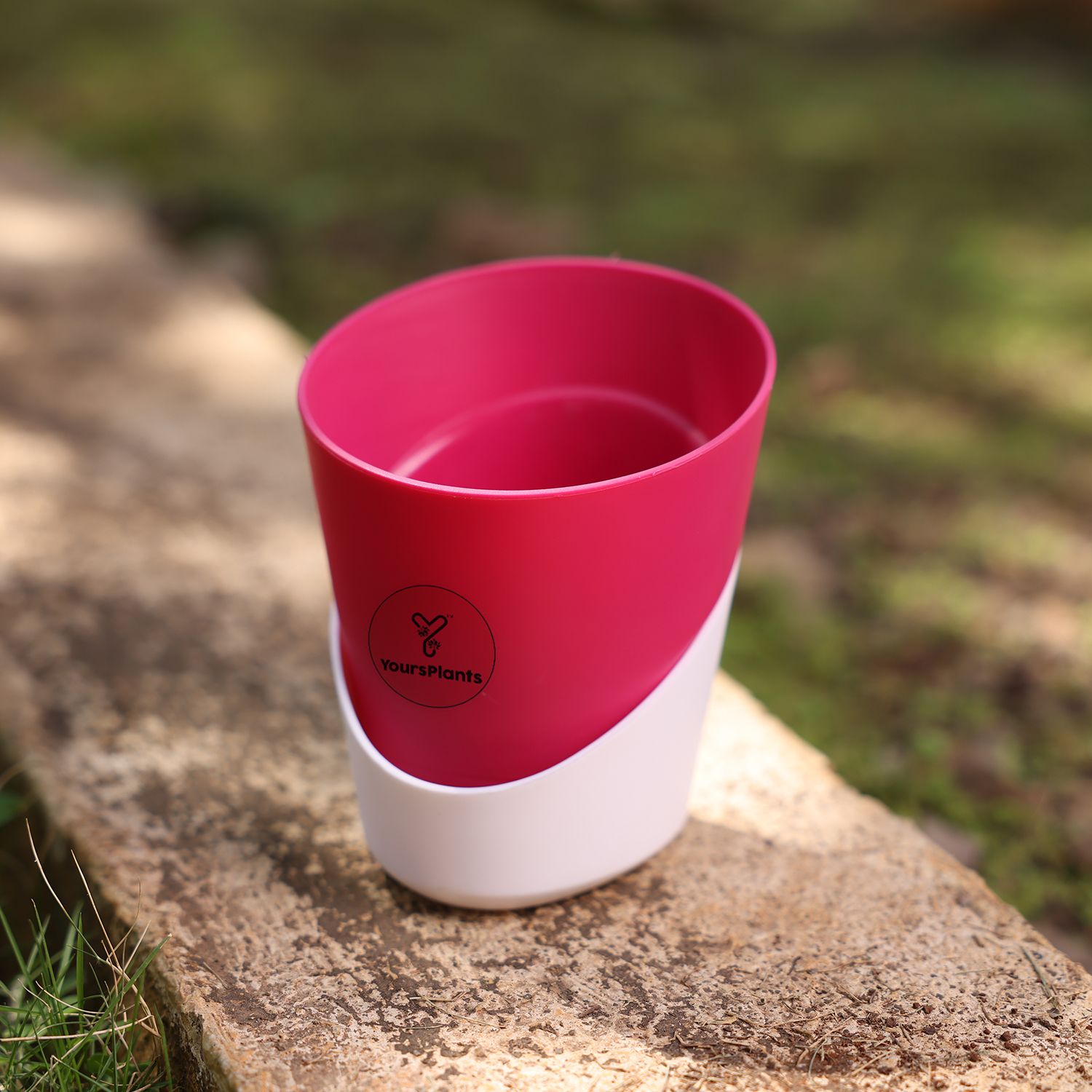 Pink Atlantis Self Water Pots | Pack of 2_2