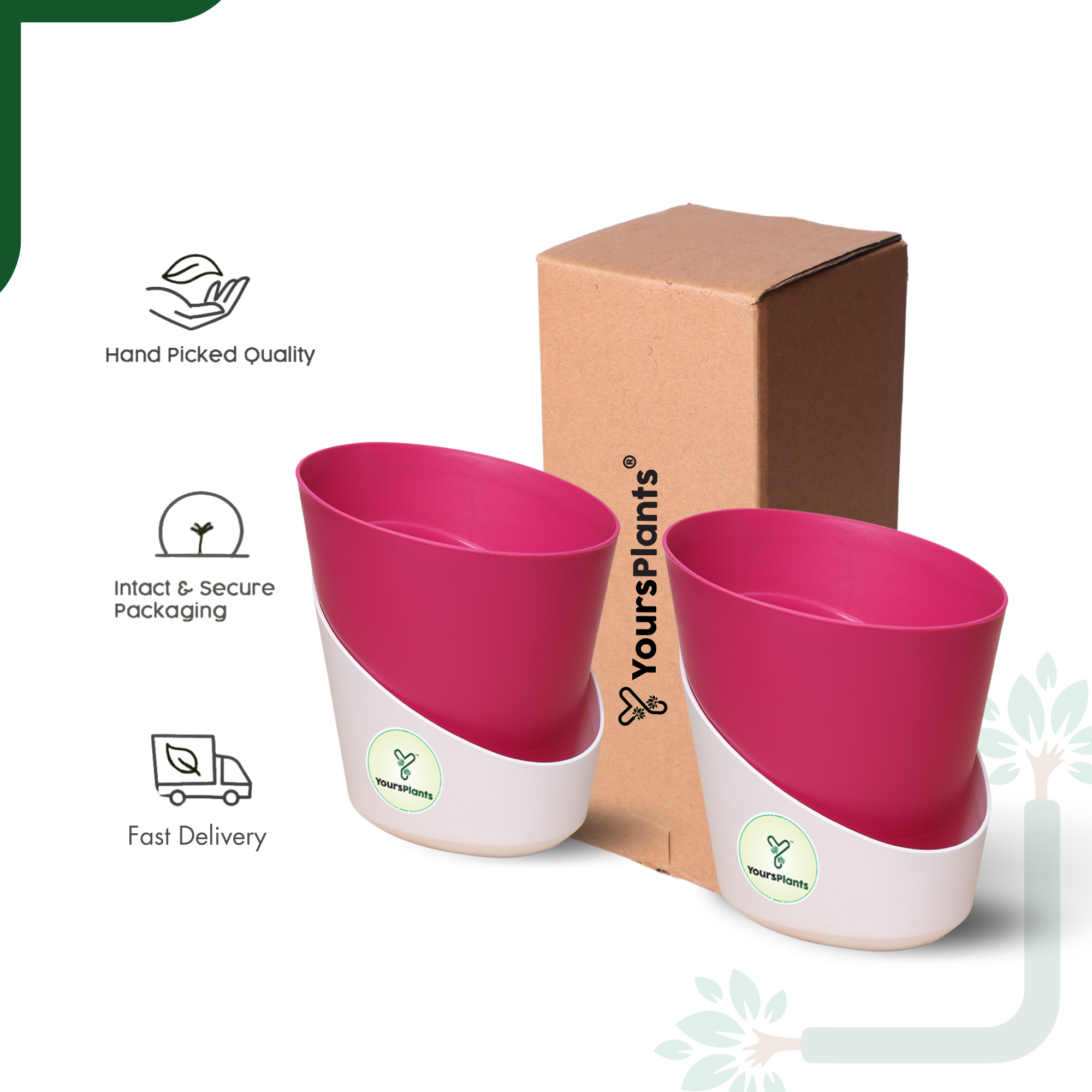 Pink Atlantis Self Water Pots | Pack of 2_5