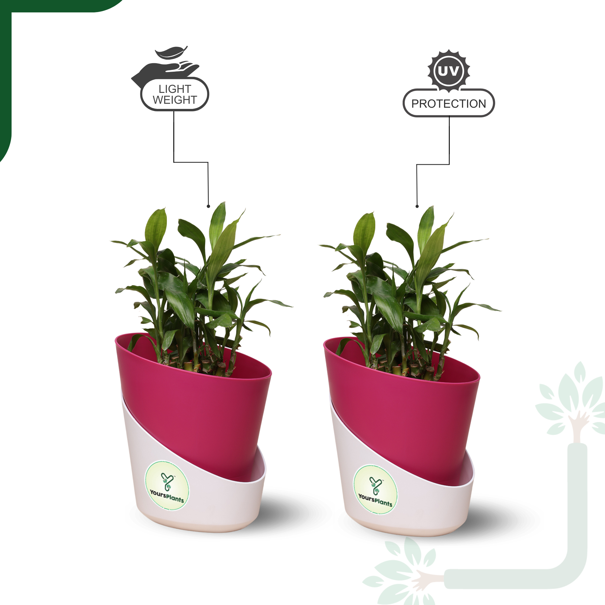 Pink Atlantis Self Water Pots | Pack of 2_3