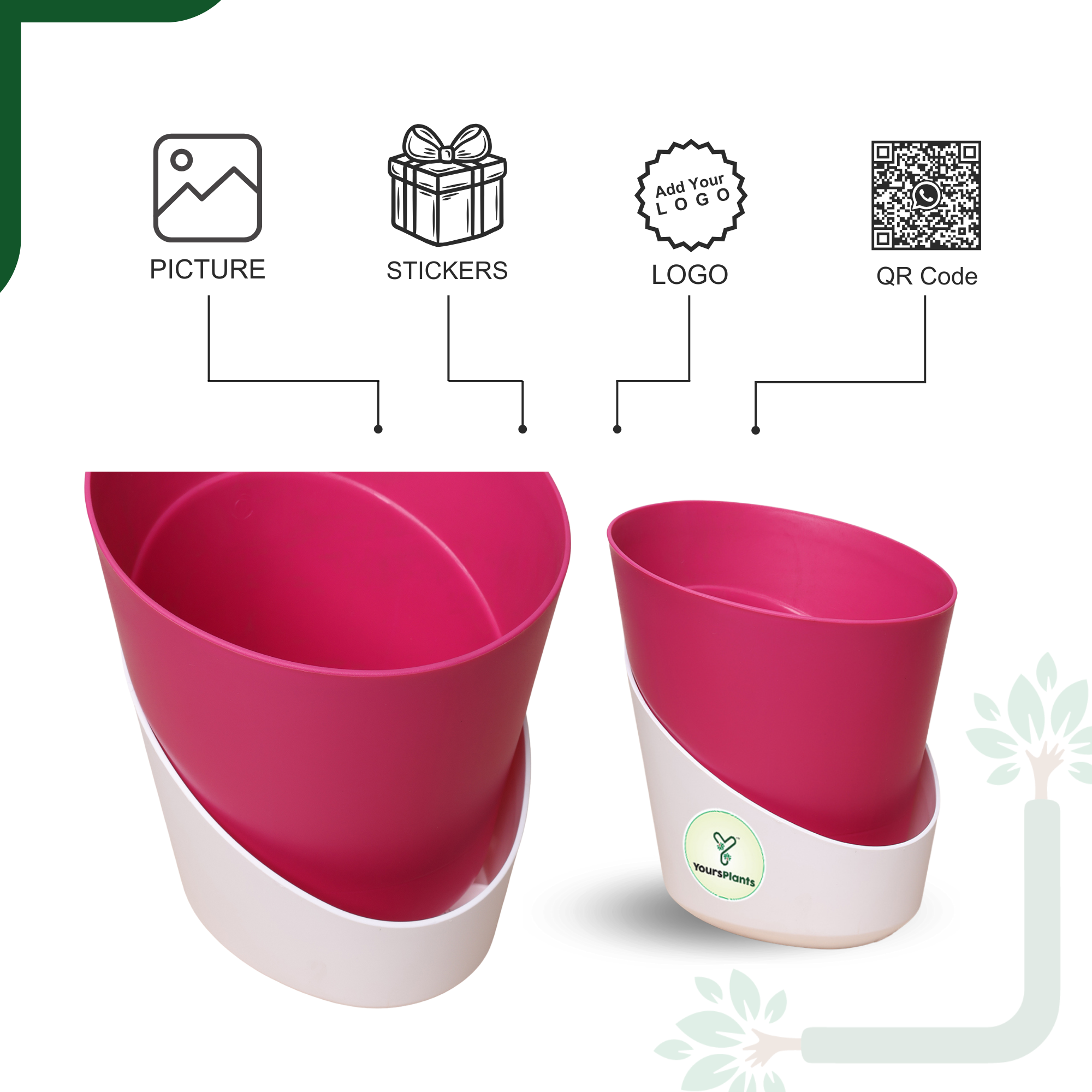 Pink Atlantis Self Water Pots | Pack of 2_4