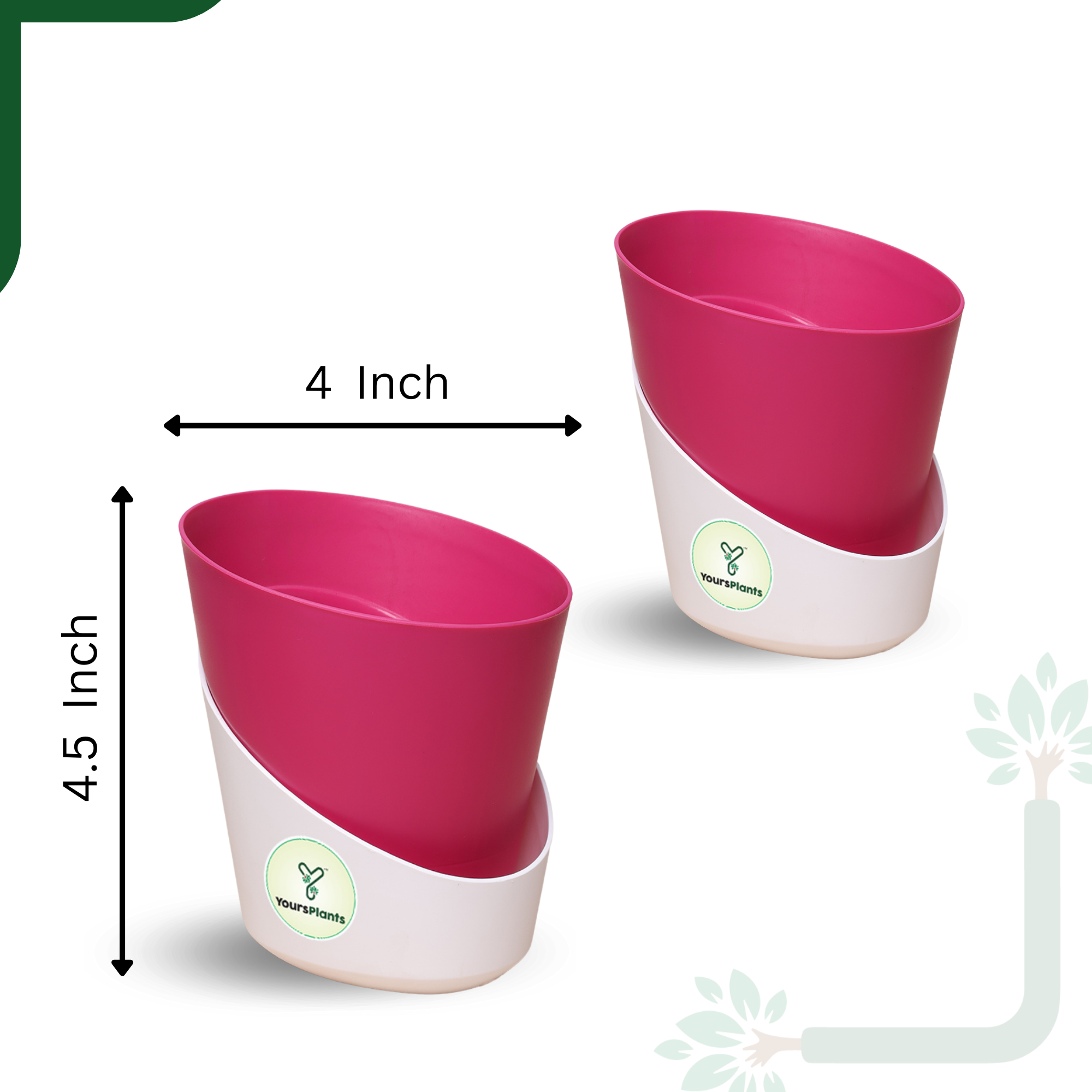 Pink Atlantis Self Water Pots | Pack of 2_7