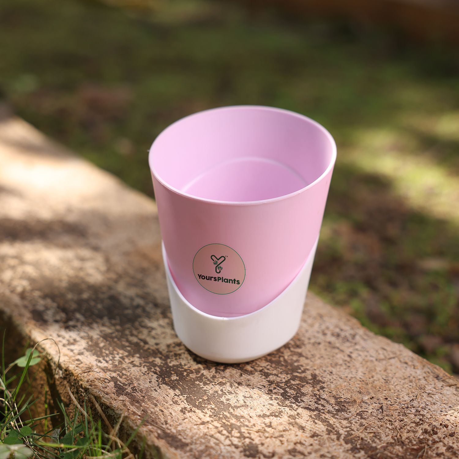 Pastel Pink Atlantis Self Water Pots | Pack of 2_4