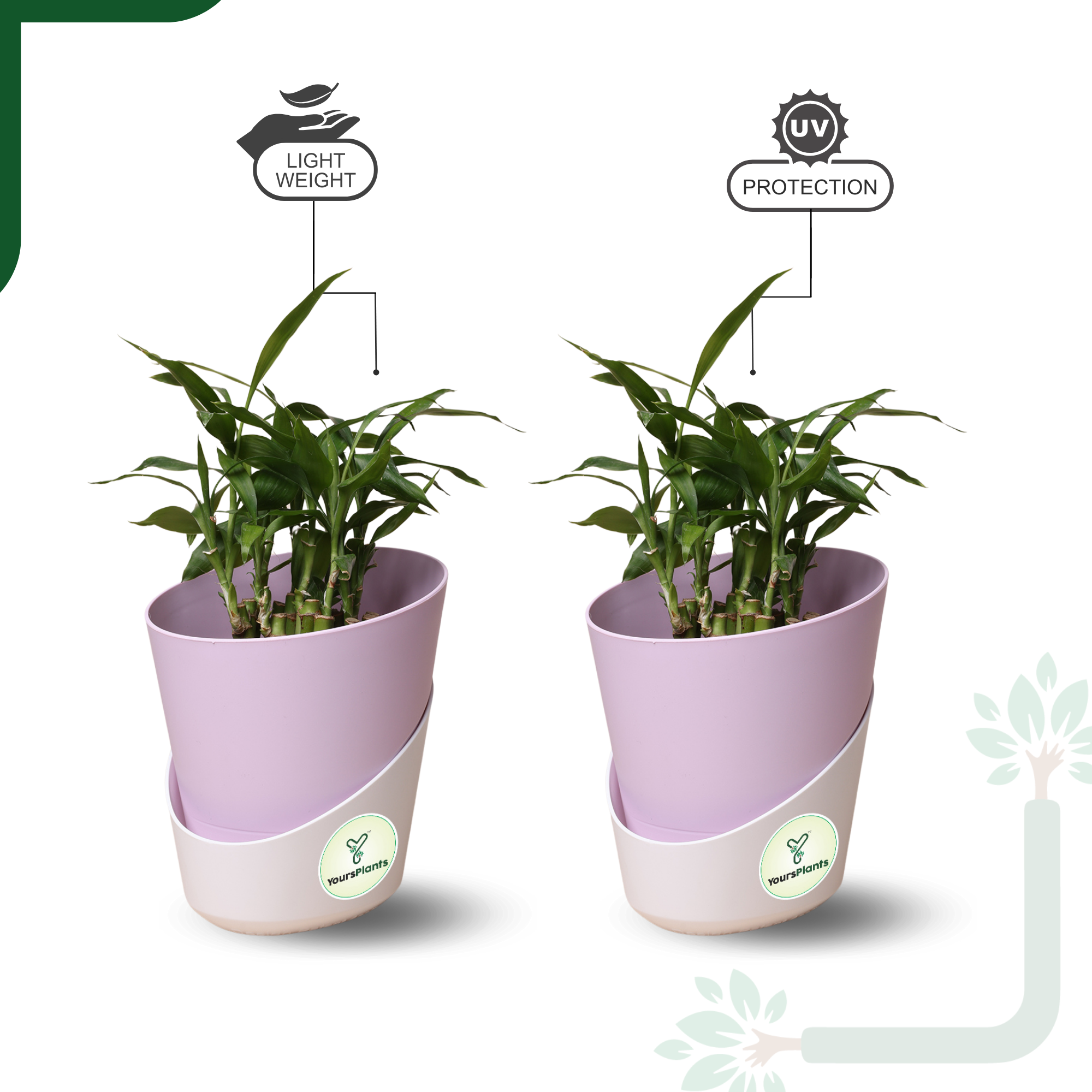 Pastel Pink Atlantis Self Water Pots | Pack of 2_3
