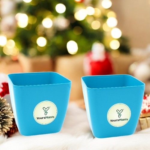 Siena Square Planters | Pack of 2 | Blue Pot_5