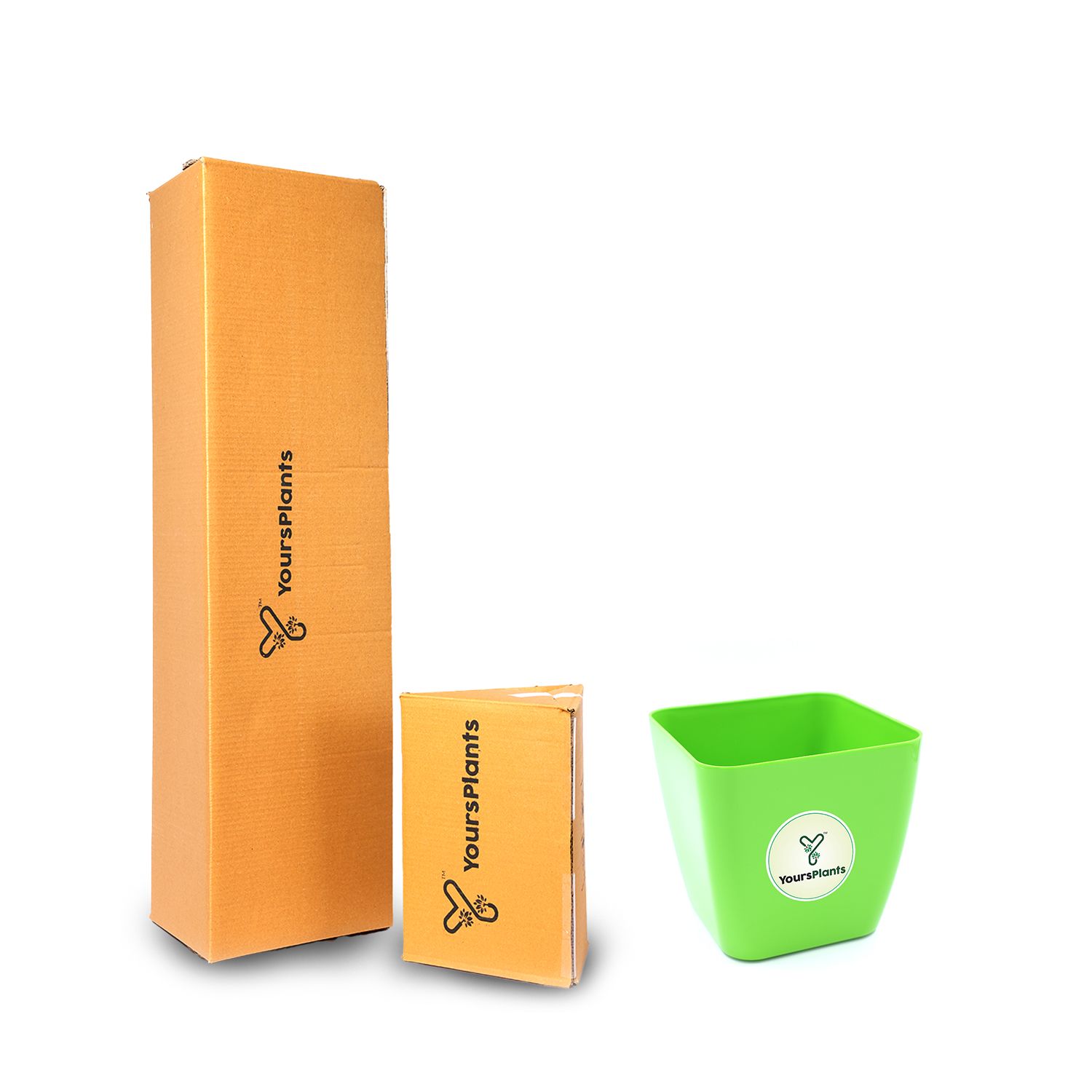 Siena Square Planters | Pack of 2 | Green Pot _5