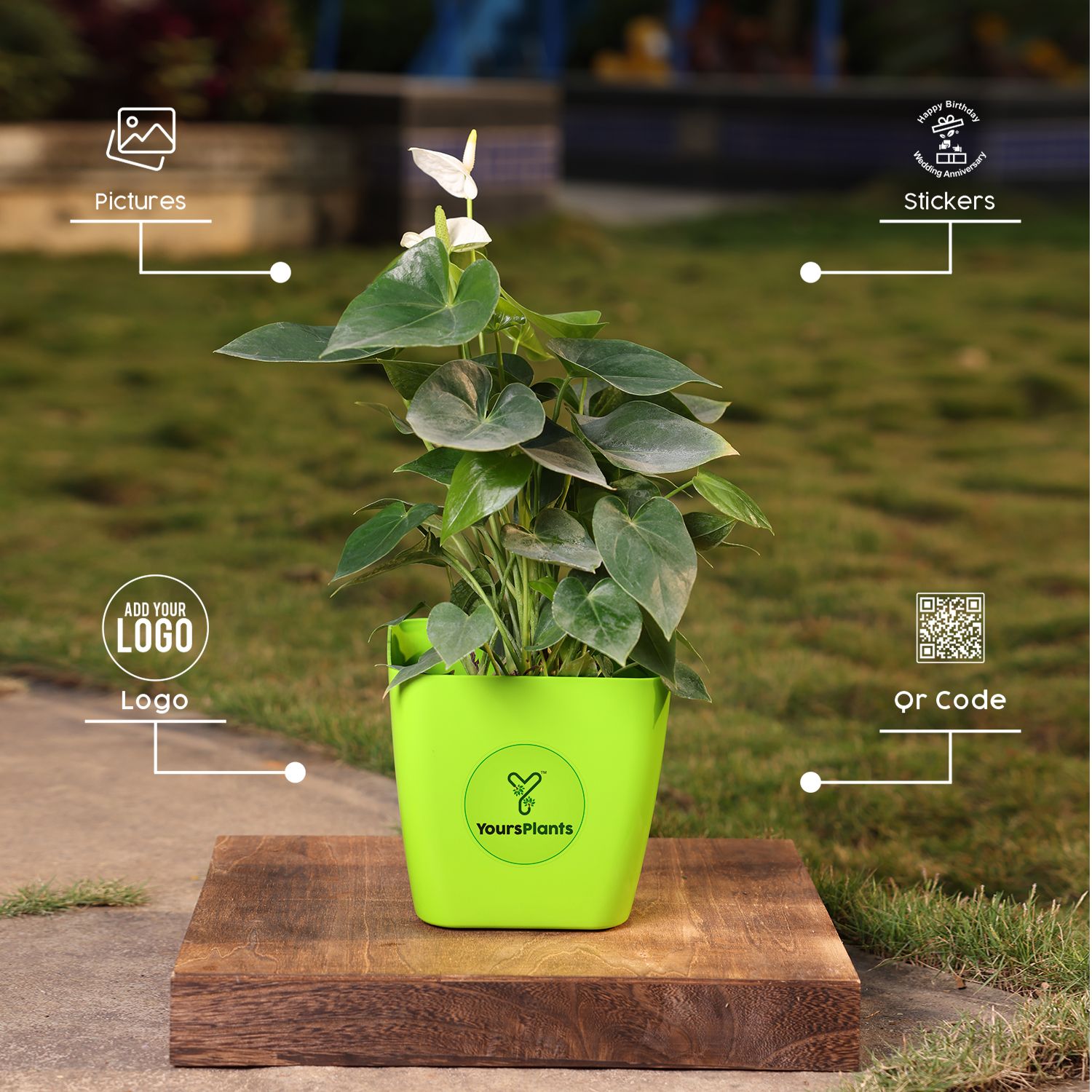 Siena Square Planters | Pack of 2 | Green Pot _6