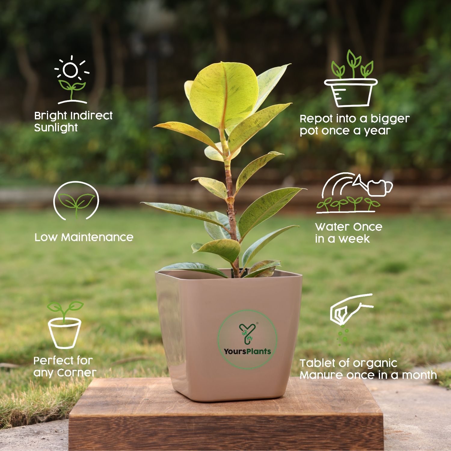 Siena Square Planters | Pack of 2 | Mocca Pot_10
