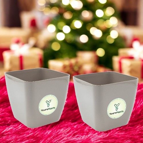 Siena Square Planters | Pack of 2 | Mocca Pot_6