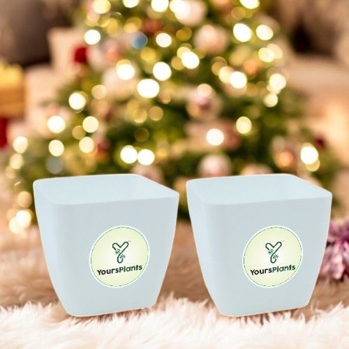 Siena Square Planters | Pack of 2 | White Pot_6