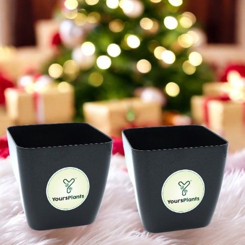 Siena Square Planters | Pack of 2 Black Pot_6