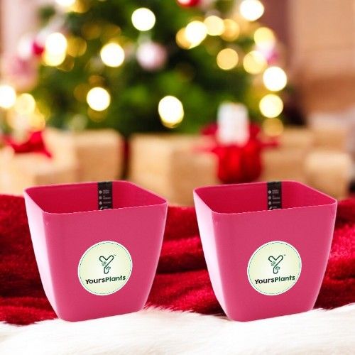 Siena Square Planters | Pack of 2 Pink Pot_6