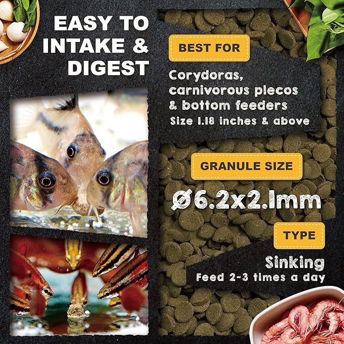 Ultra Fresh Shrimp Delight TROPICAL SHRIMP PIE 330ML/140G_3