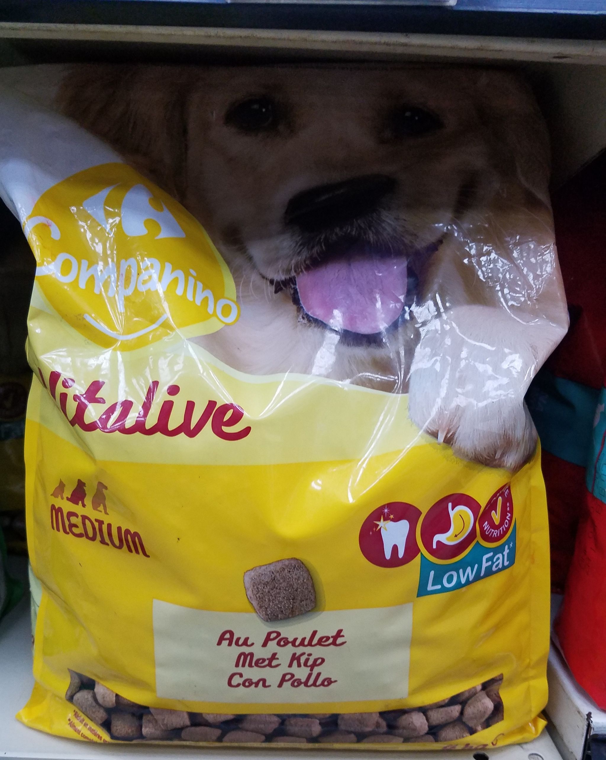 Crf Comp. Chien Croq. Poul/Car/Riz Med. 4kg_1