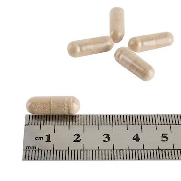Holland & Barrett Maximum Strength Ginkgo Biloba 120mg 30 Capsules_1