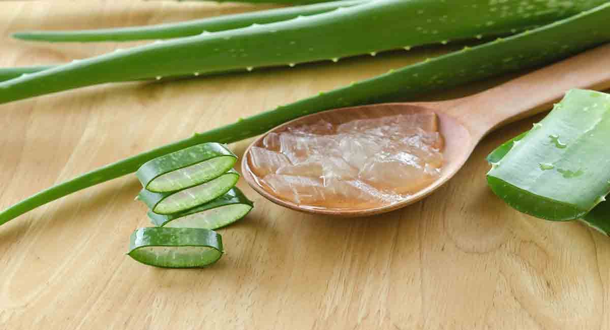 Esencia Aloe Vera_0