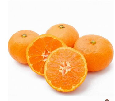  Japan Saga Karatsu Mikan Tangerine ( 270 g)_0