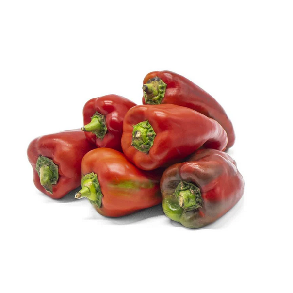 Fresh Aji Picoloro 1 lb / Ají Picoloro Fresco 1 lb_0