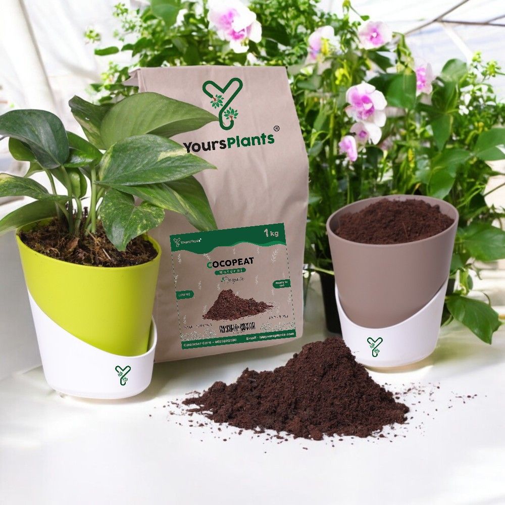 Cocopeat Bag Pack Low Ec -1 Kg_2