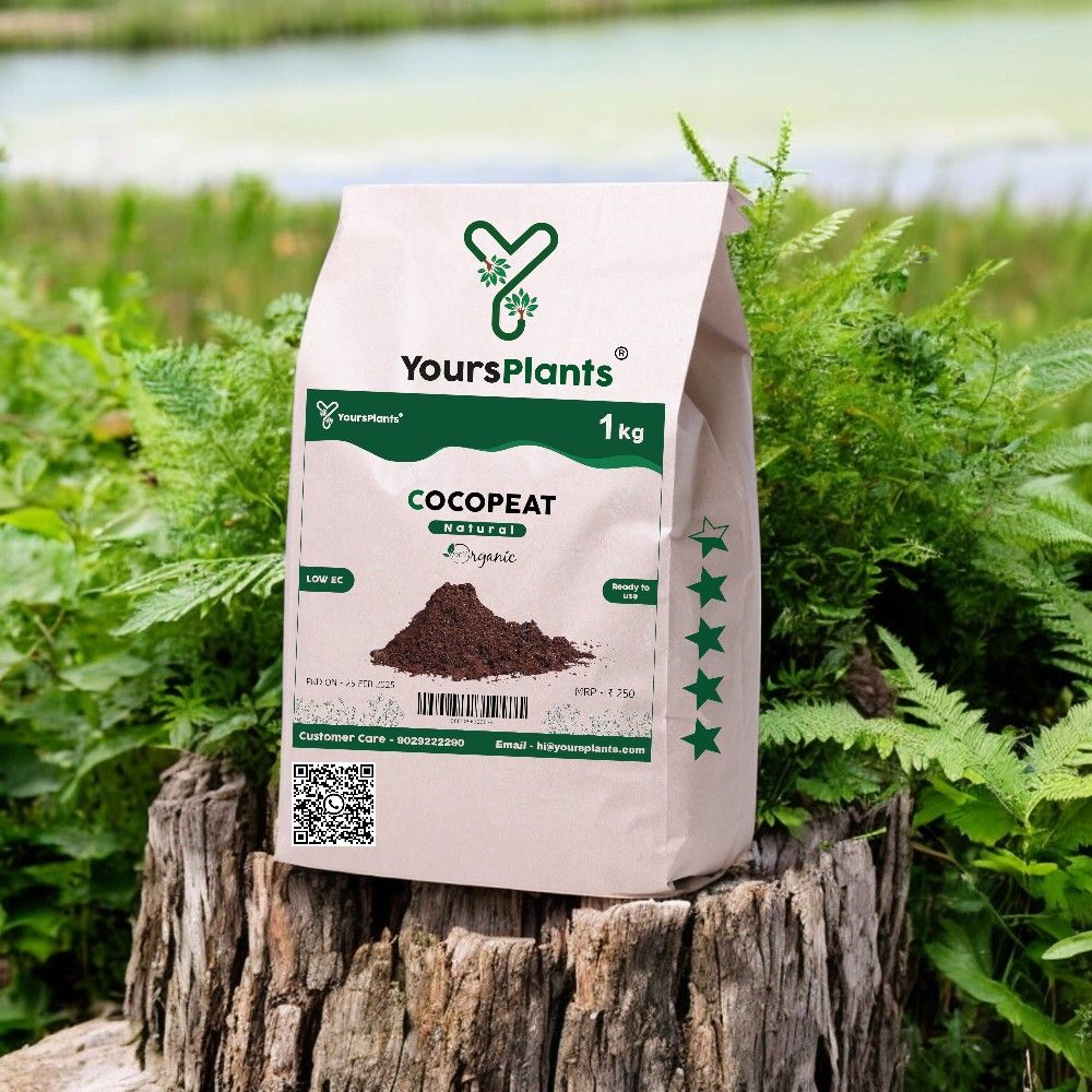 Cocopeat Bag Pack Low Ec -1 Kg_1
