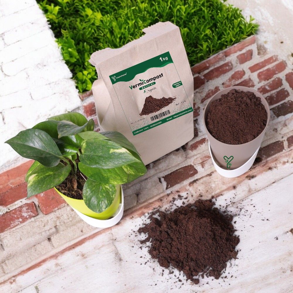 VermiCompost 100% Cow Dung, Organic Compost  -995g_2