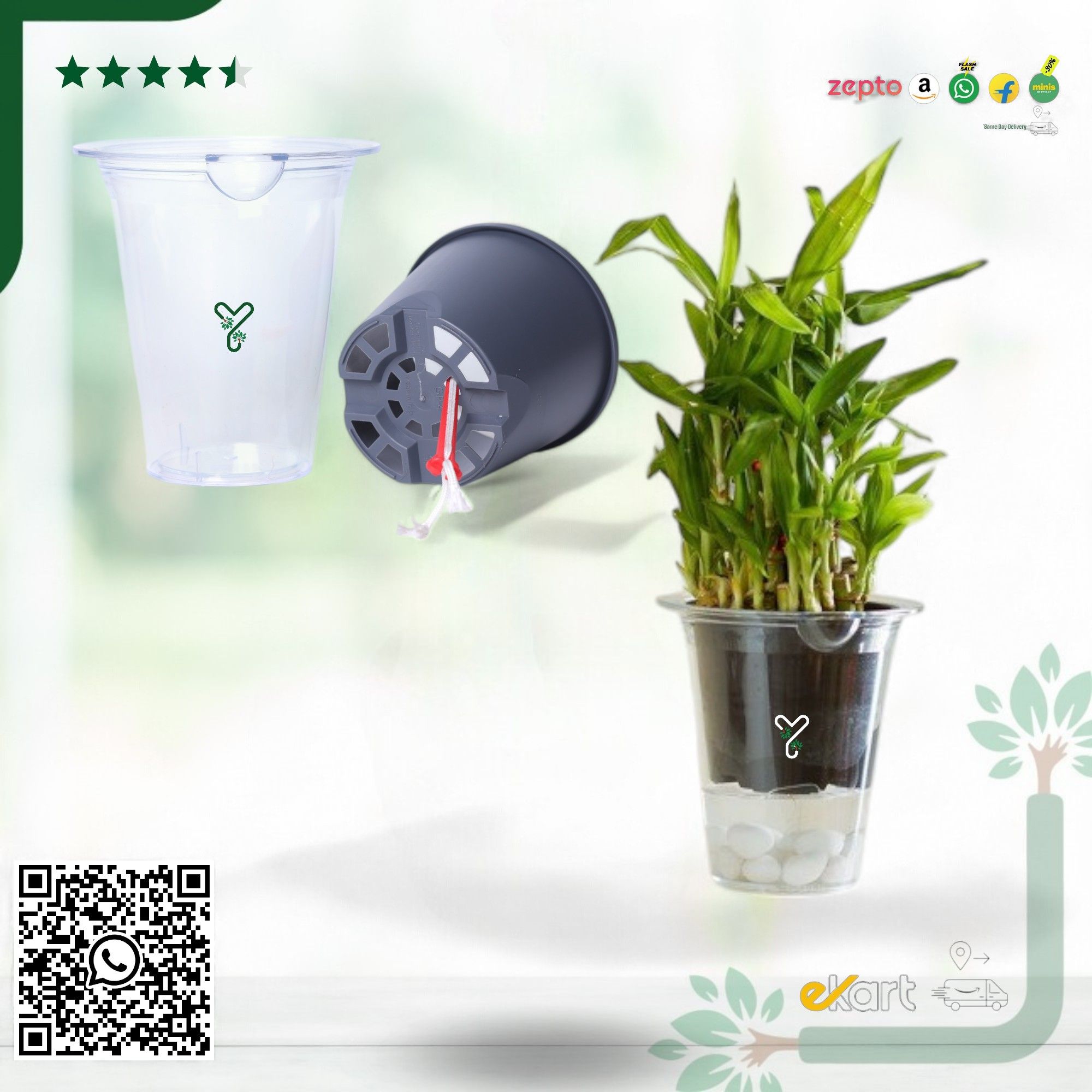 Mascot 10 Glassy 5 Inch Pot | Pack Of 2_0