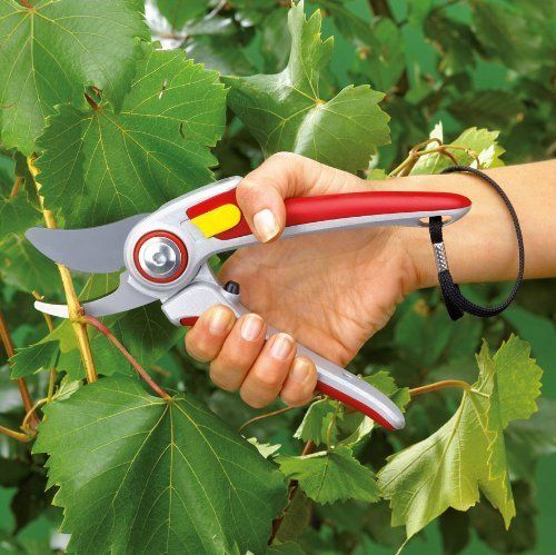 Wolf-Garten Home Gardening Scissors (Shears Bypass RR 5000)_3