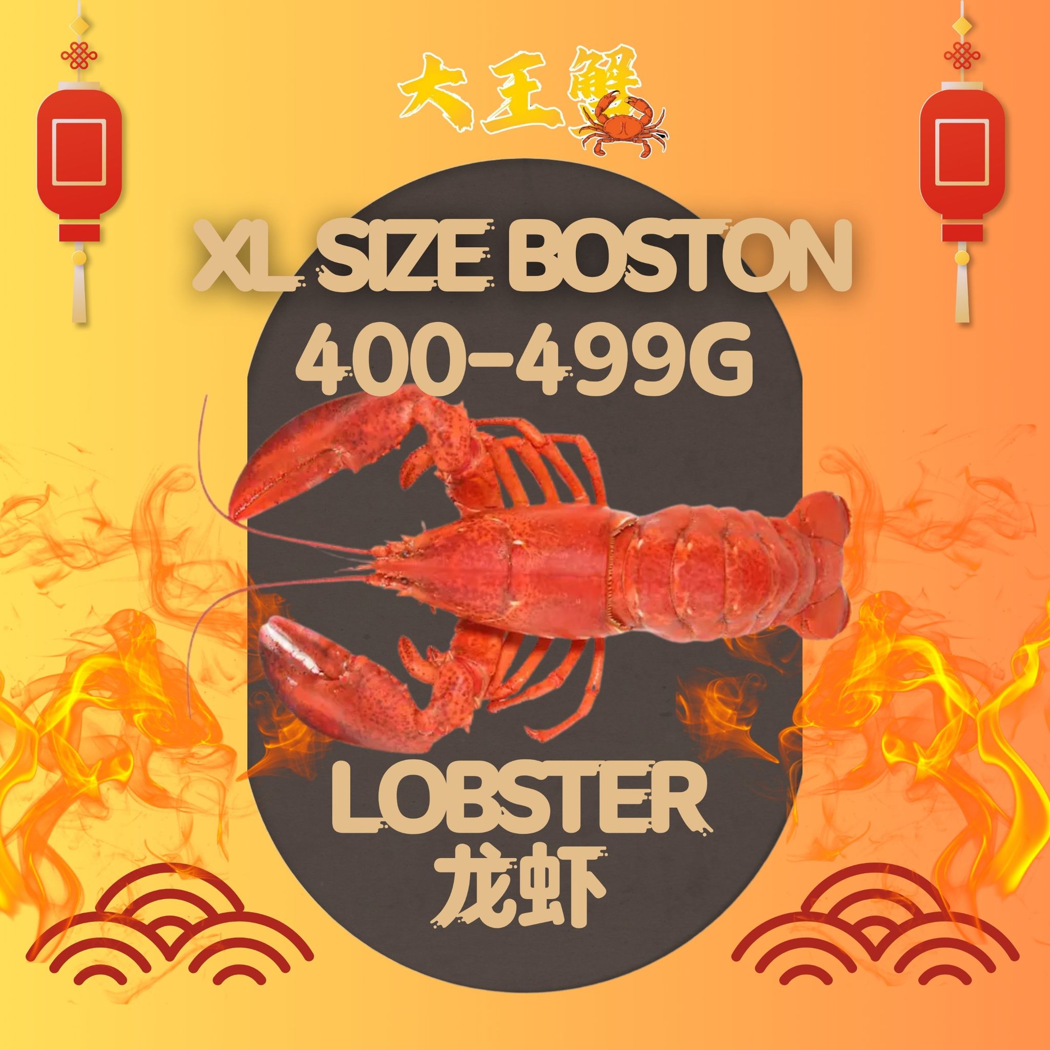 BOSTON LOBSTER 波斯顿龙虾 (400-499G) _0