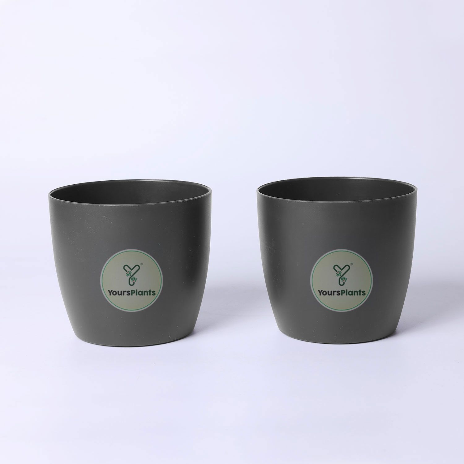 Black Ronda 1110 Planter - Fits 4''Growser Pot Plants {Free Organic Pot Mix} Pack of 2_4