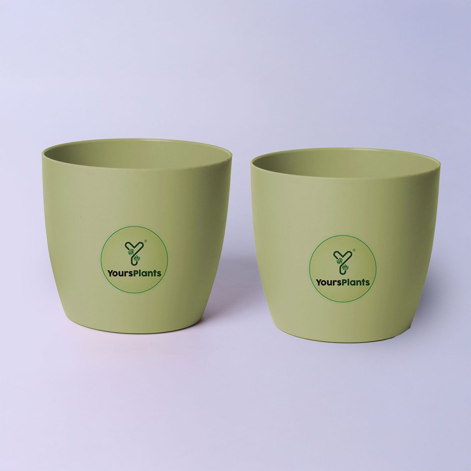 Olive Ronda 1110 Planter - Fits 4''Growser Pot Plants {Free Organic Pot Mix} Pack of 2_4