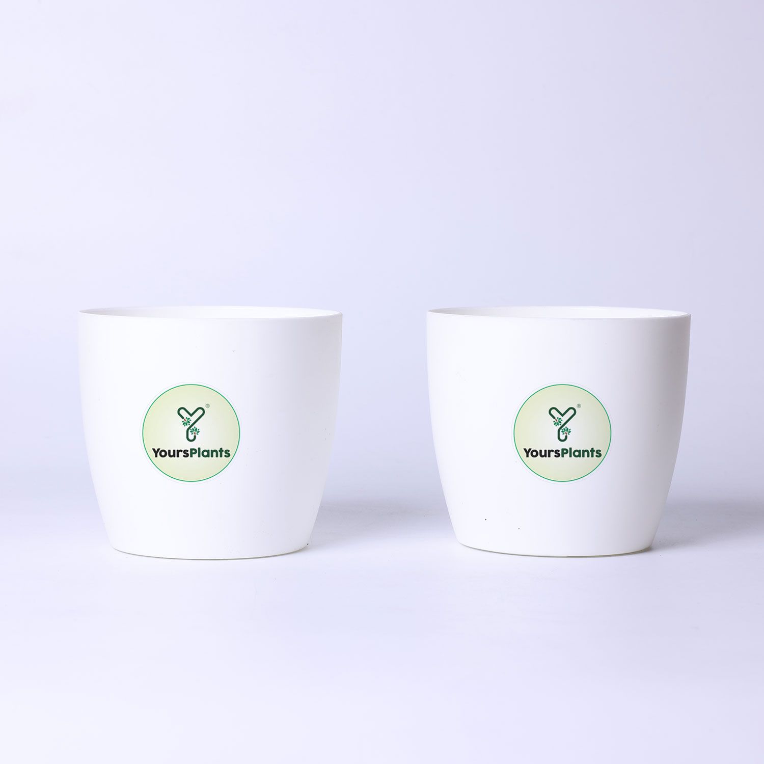 White Ronda 1110 Planter - Fits 4''Growser Pot Plants {Free Organic Pot Mix} Pack of 2_4