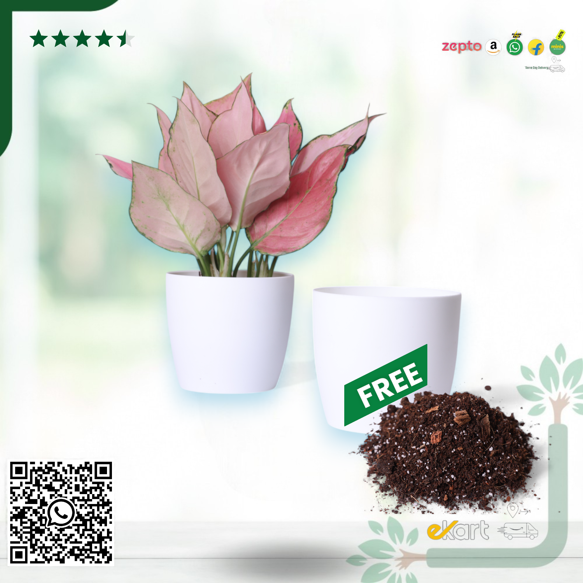 White Ronda 1110 Planter - Fits 4''Growser Pot Plants {Free Organic Pot Mix} Pack of 2_5
