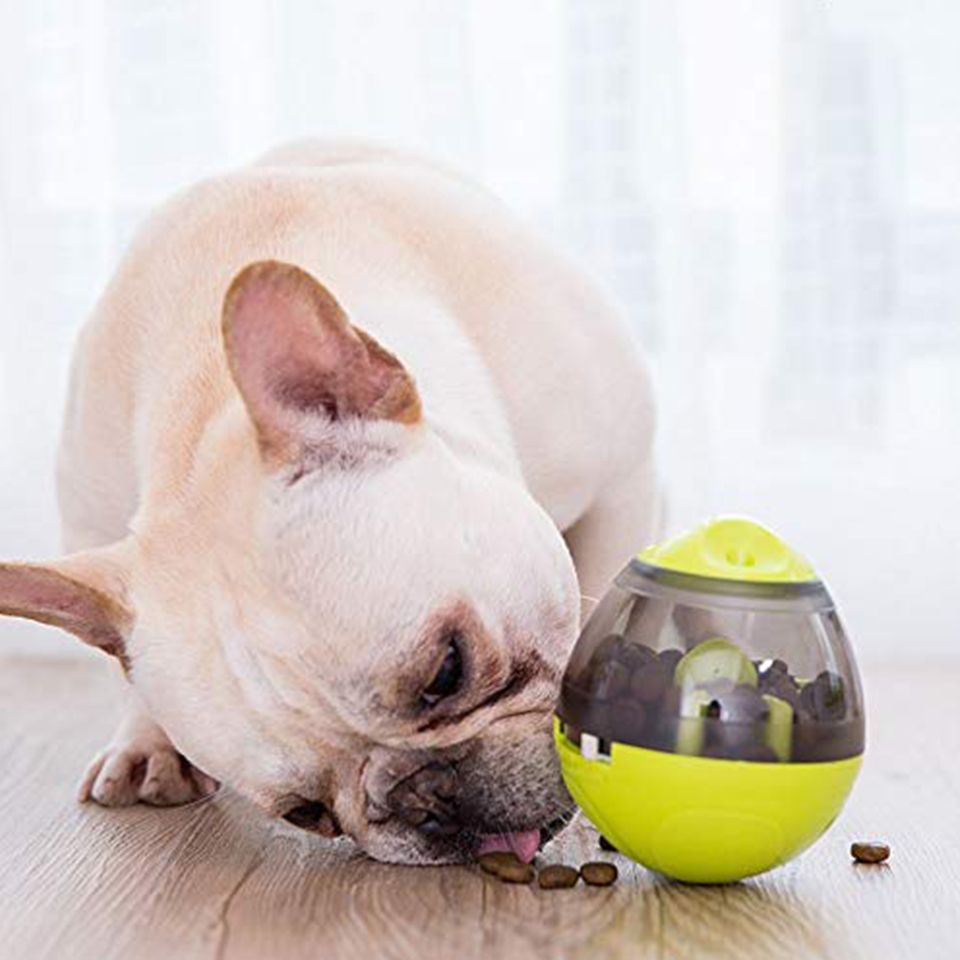 Pelota Dispensador Comida Snack Mascotas_1