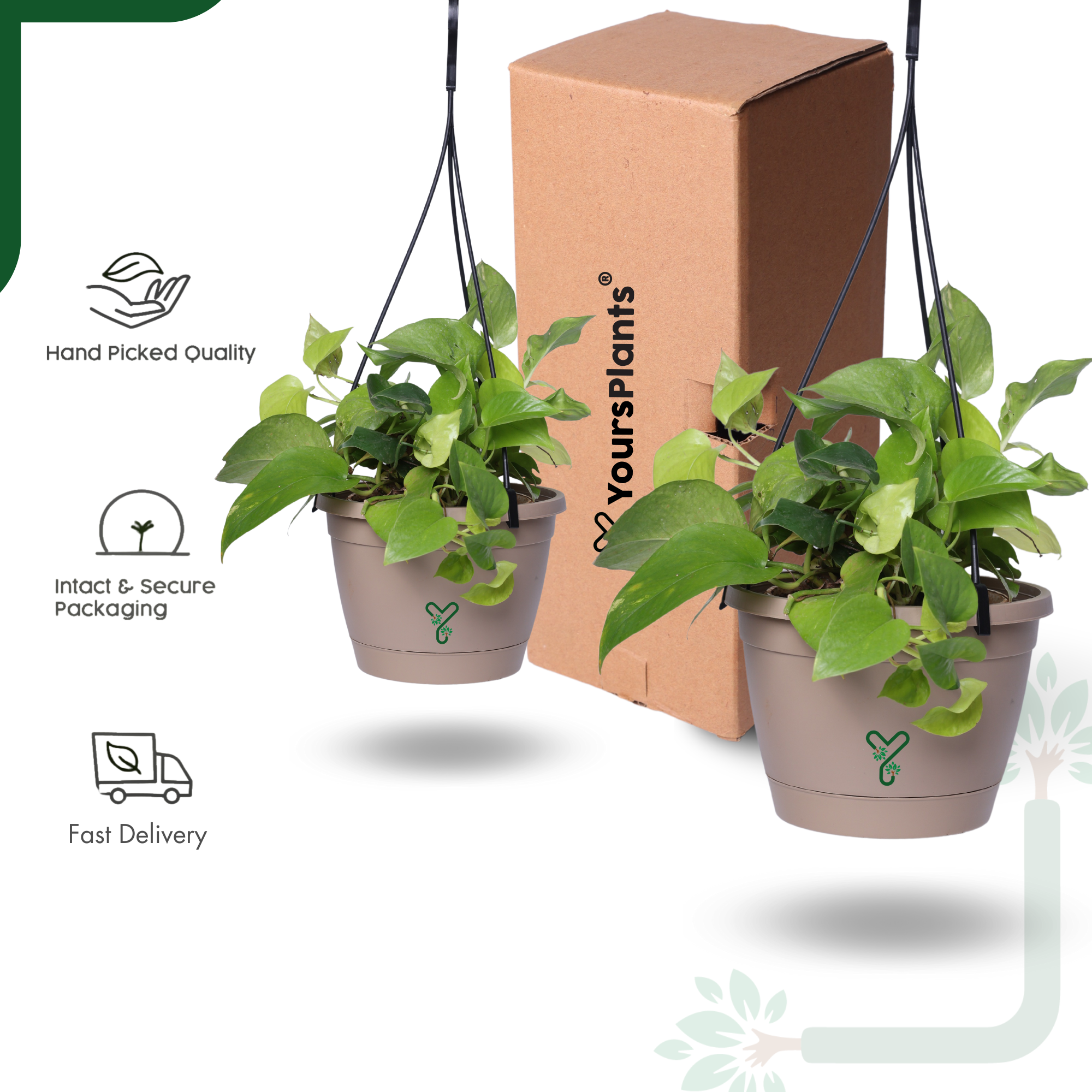 Rock Brown Hanging Self Watering Pot, 8inch, Vertical Hook & 12.5'' Chain | Pack of 2_5