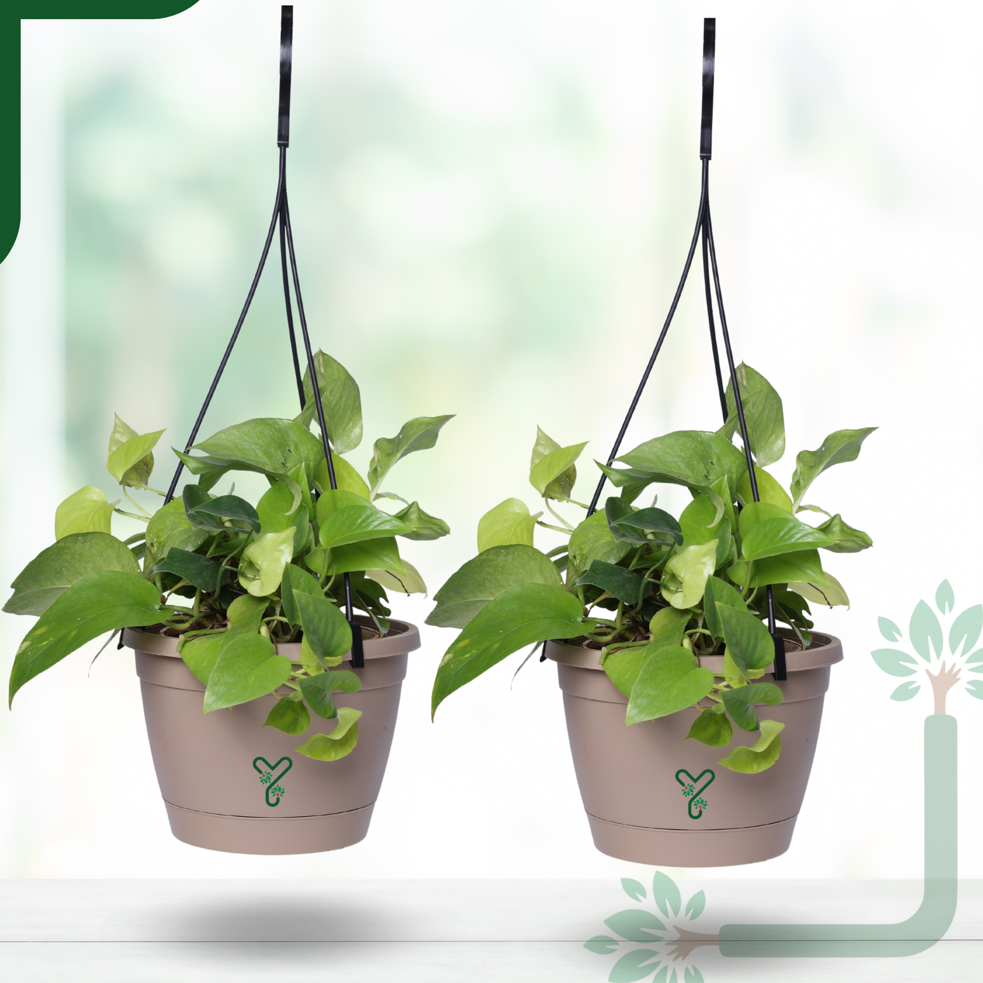 Rock Brown Hanging Self Watering Pot, 8inch, Vertical Hook & 12.5'' Chain | Pack of 2_3