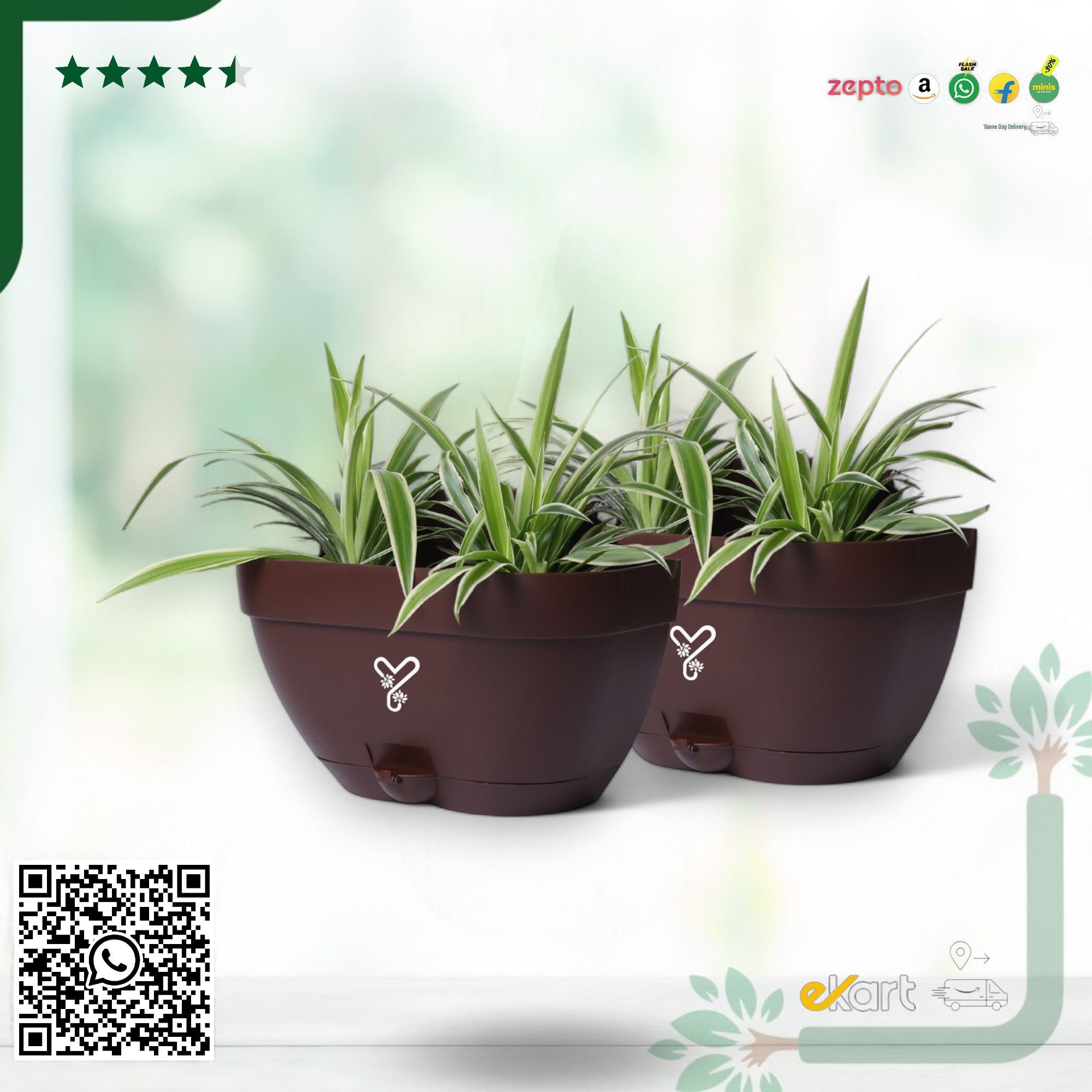 Coffee Vertical Garden Wall Mounted Self Watering Pot with Hook | Pack of 2_0