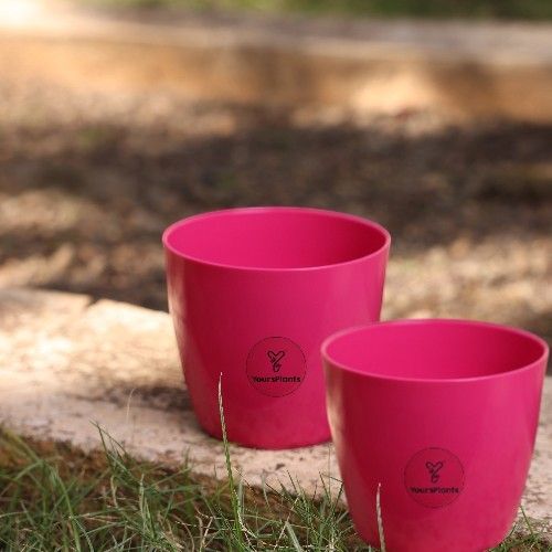 Valencia Planters | Pack of 2 | Pink Pot_6