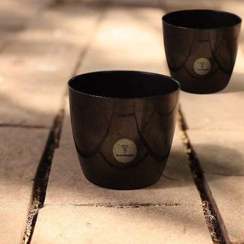 Valencia Planters | Pack of 2 | Black Pot_7