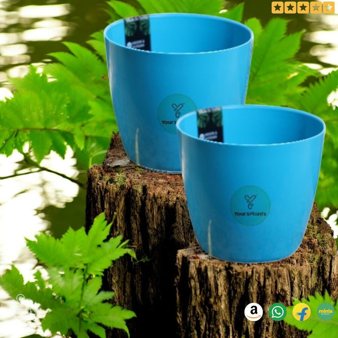Valencia Planters | Pack of 2 | Blue Pot_5