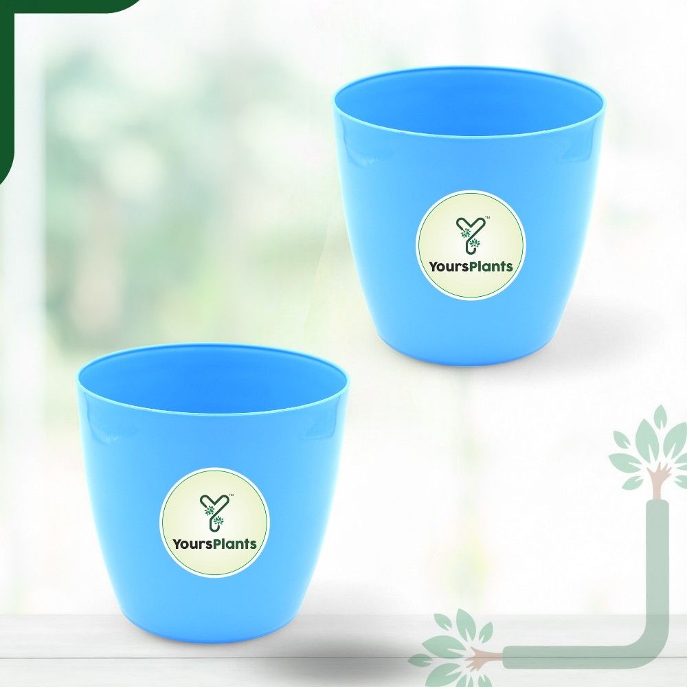 Valencia Planters | Pack of 2 | Blue Pot_0