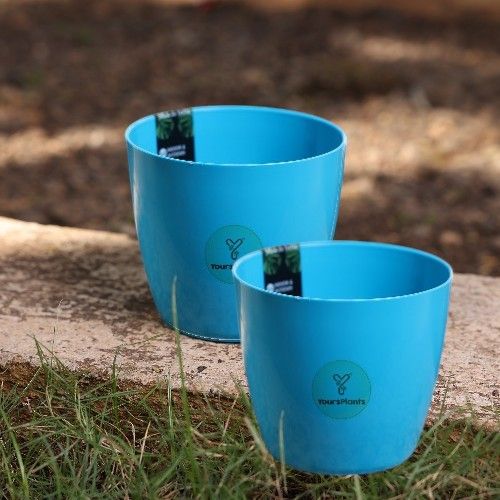 Valencia Planters | Pack of 2 | Blue Pot_6