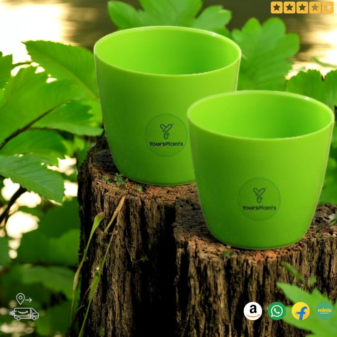 Valencia Planters | Pack of 2 | Green Pot_5